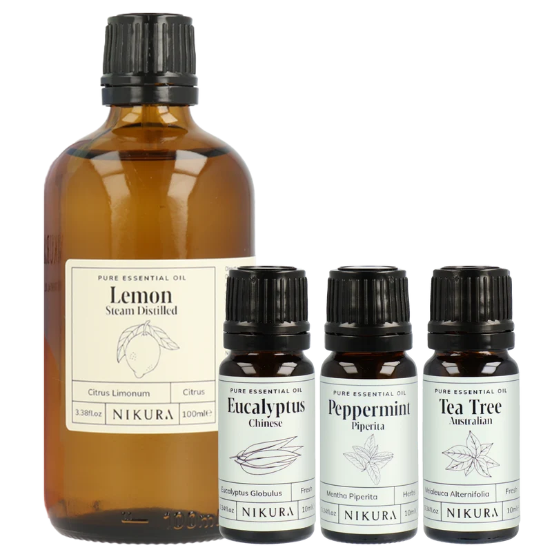 Natural Cleaning Essentials Kit