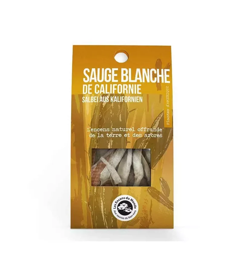 Vit Salvia Kalifornien, 2 st