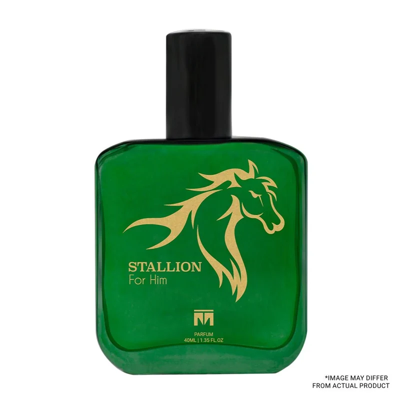 Stallion - Haltane by Marly