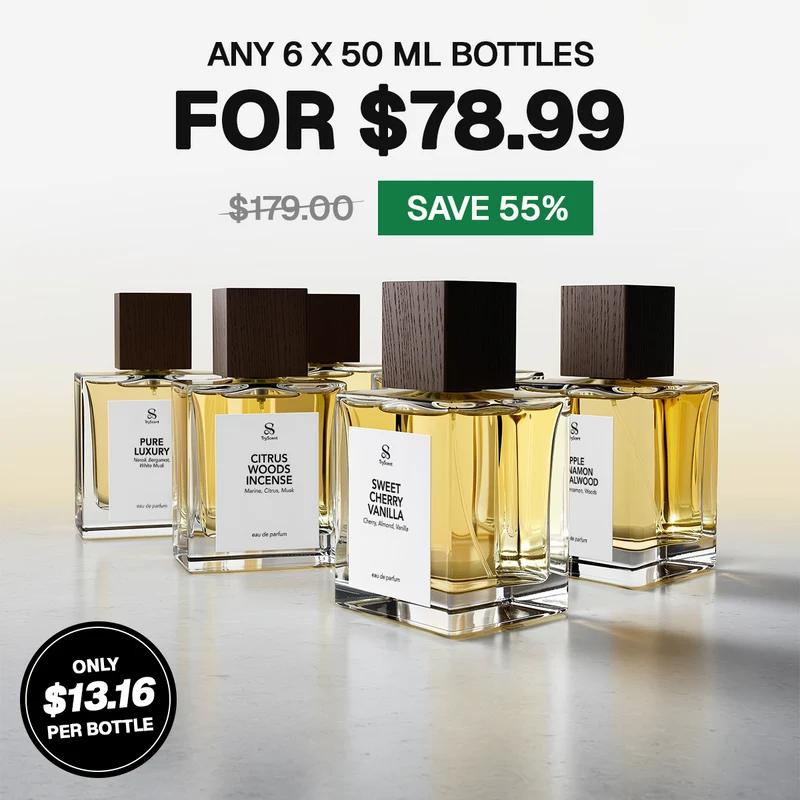 6X 50ml Perfume Bottles