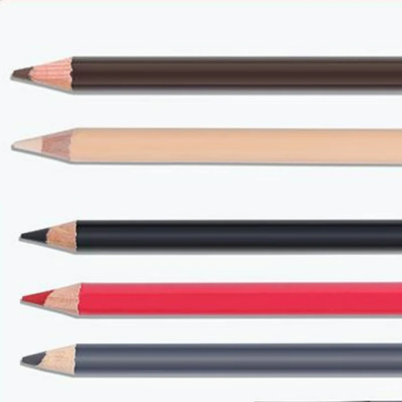 Permanent makeup penna